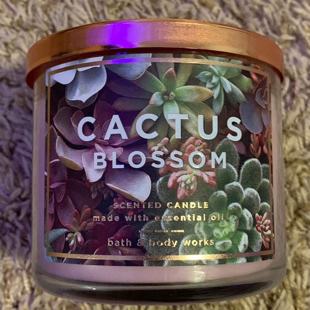 Bath and Body Works Candle